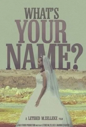 Постер: What's Your Name?