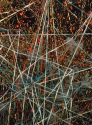 Постер: Toying with Strings