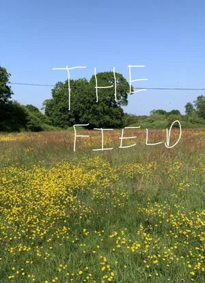 Постер: The Field
