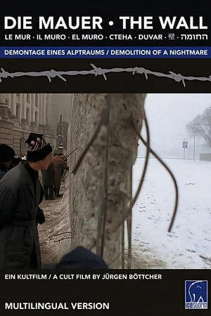 Постер: The Wall