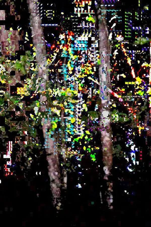 Постер: Picture a Forest