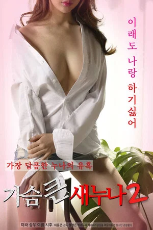 Постер: Big Breasts Sister 2