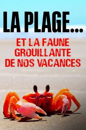 Постер: Der Strand: Tierisches aus dem Ferienparadies
