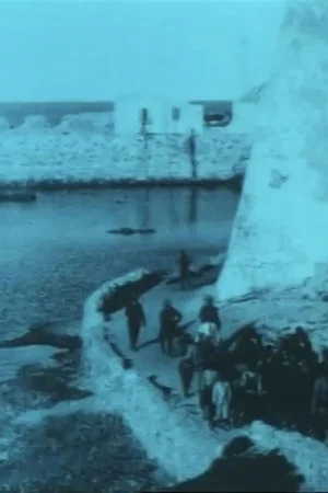 Постер: Dolorosi episodi della guerra Italo-Turca