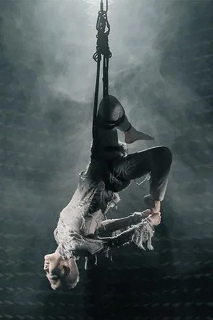 Постер: The Magnificent Levitation Act of Lauren O
