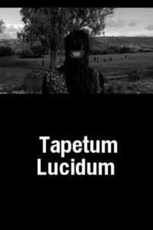 Постер: Tapetum Lucidum