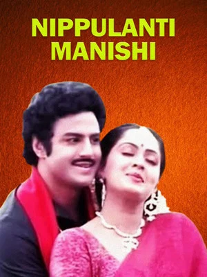 Постер: నిప్పులాంటి మనిషి