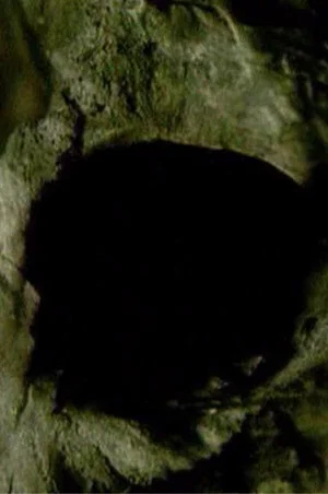 Постер: Midnight Black Earth