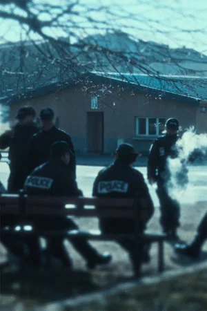 Постер: Zone grise