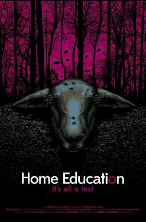 Постер: Home Education