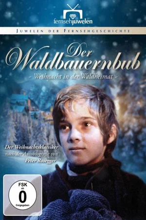 Постер: Der Waldbauernbub - Weihnacht in der Waldheimat