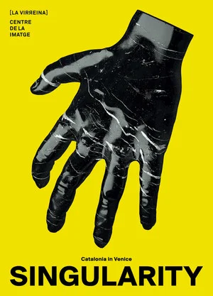 Постер: Singularity