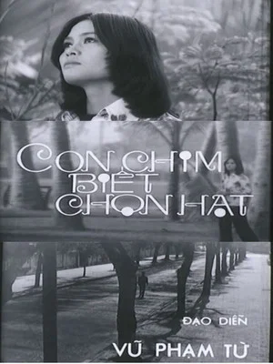 Постер: Con Chim Biết Chọn Hạt