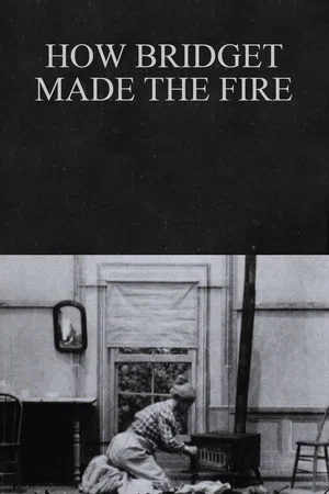 Постер: How Bridget Made the Fire