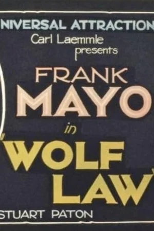 Постер: Wolf Law