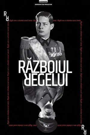 Постер: The King's War