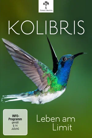 Постер: Kolibris - Leben am Limit