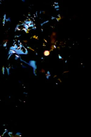 Постер: everyday star