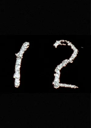Постер: Arabic Numeral Series 12