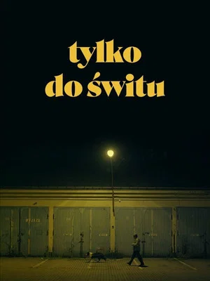 Постер: Only Until Dawn