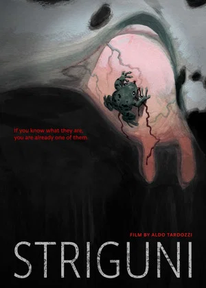 Постер: Striguni