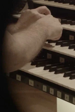 Постер: Zorn II (2016 – 2018)