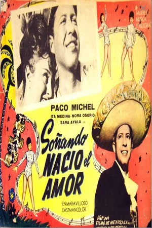 Постер: Soñando nació el amor