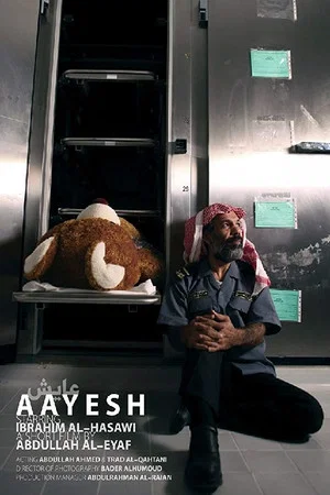 Постер: Aayesh