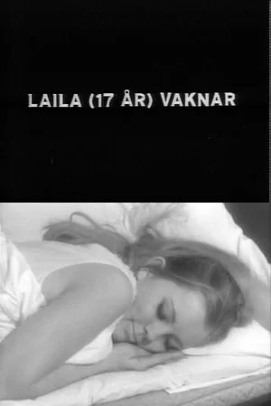 Постер: Laila Wakes Up