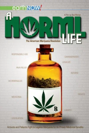 Постер: A Norml Life
