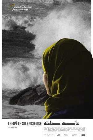 Постер: Silent Storm