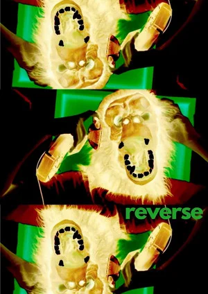 Постер: Reverse