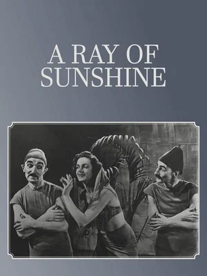 Постер: A Ray of Sunshine