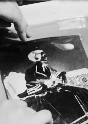 Постер: Negatives on Paper: Talbot’s Process