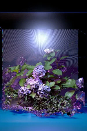 Постер: FLORALIA II