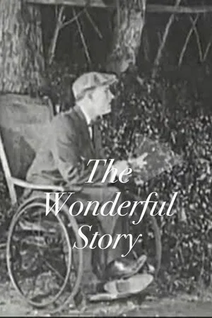 Постер: The Wonderful Story