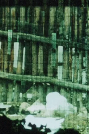 Постер: The Loom