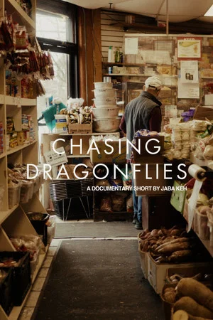 Постер: Chasing Dragonflies