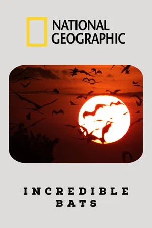 Постер: Incredible Bats