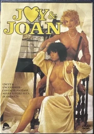 Постер: Joy & Joan
