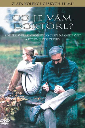 Постер: What's Up Doc?