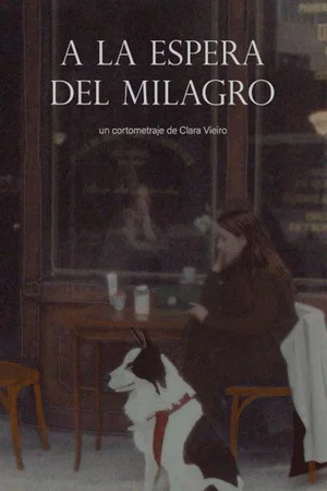Постер: A la espera del milagro