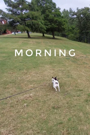Постер: Morning