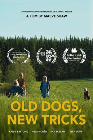 Постер: Old Dogs, New Tricks