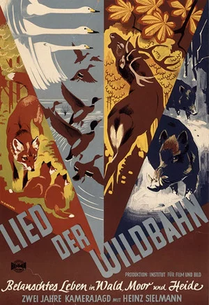 Постер: Lied der Wildbahn