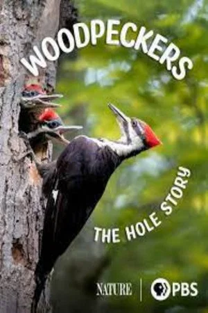 Постер: Woodpeckers: The Hole Story