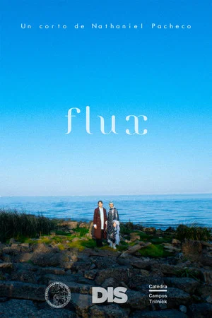 Постер: Flux