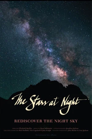 Постер: The Stars at Night
