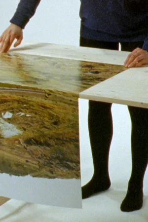 Постер: Folded Landscape (El Páramo)