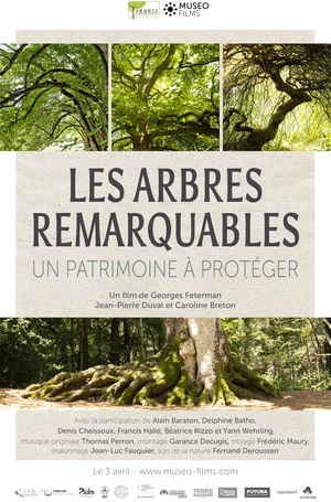 Постер: Les arbres remarquables, un patrimoine à protéger